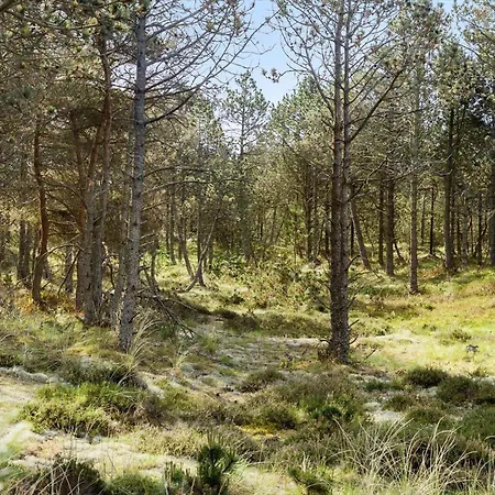 788-thisted-blamunkevej-46 *