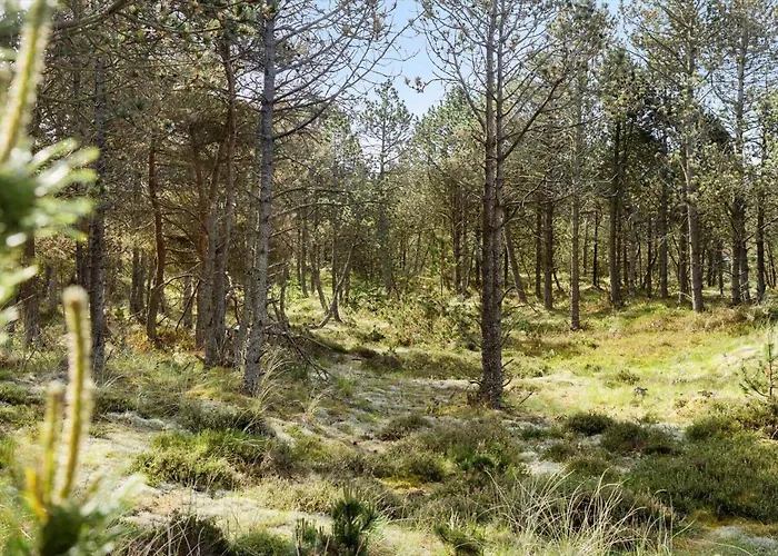 788-thisted-blamunkevej-46 *